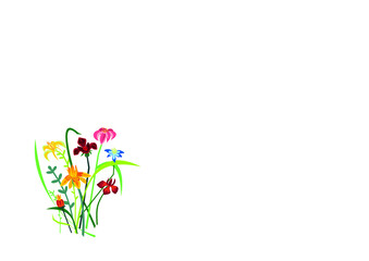 spring flowers illustration,flower,spring,pink,summer