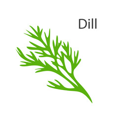Green bunch of dill. Ingredient and seasoning for the dish. Useful natural healthy food and diet. Vegetarian product. Recipe. Flat vector illustration isolated on white background