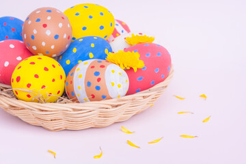 Colorful eggs in a basket with yellow Chrysanthemum flowers on pink background