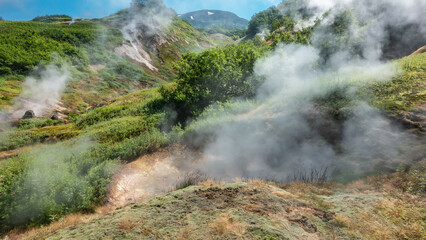 Valley of geysers. Kamchatka. Steam and smoke from fumaroles rise above the ground. Sulphurous deposits on the soil. Lush green vegetation on the hills. A sunny summer day. Blue sky