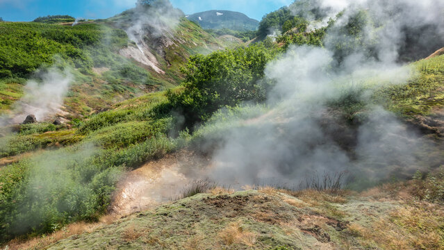 Valley of geysers. Kamchatka. Steam and smoke from fumaroles rise above the ground. Sulphurous deposits on the soil. Lush green vegetation on the hills. A sunny summer day. Blue sky © Вера 