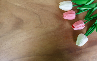 Tulip flower  on wooden background