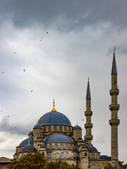 Fototapeta na wymiar A certain mosque in Istanbul against a gloomy sky with birds
