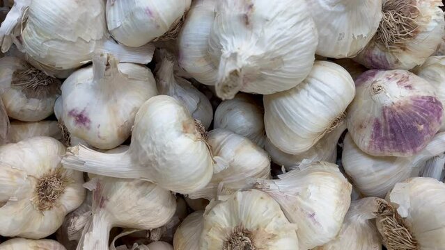 garlic ripe fruit counter in the market shop healthy meal food diet snack veggie vegan or vegetarian food copy space food background