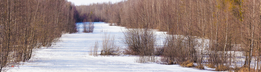 Panoramic view of a frozen forest lake in early spring