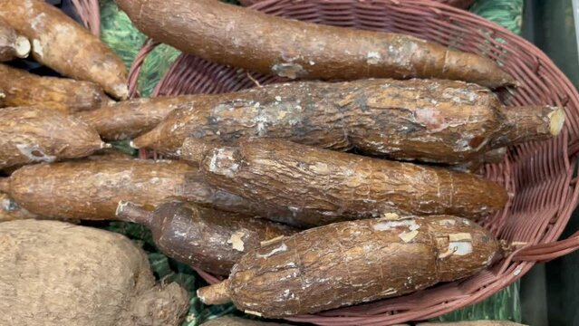 Tapioca root fresh ripe fruit counter in the market shop healthy meal food diet snack veggie vegan or vegetarian food copy space food background
