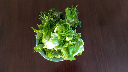 Green Oak Lettuce on wooden table