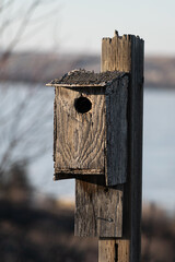 Wooden Birdhouse near lake
