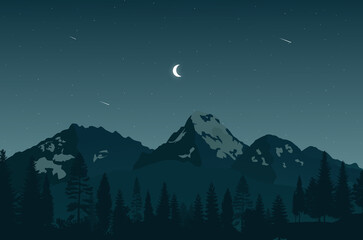 Night Forest Vector Illustration Design