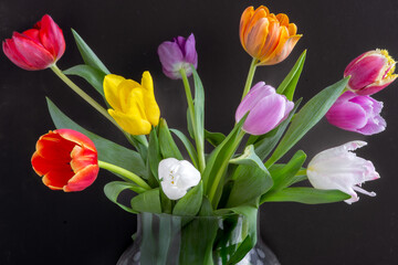 bouquet of colorful tulips, spring flowers in a vase, beautiful blossoms in different colors, black background