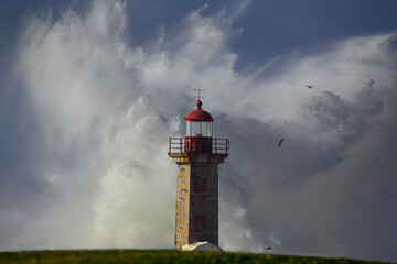 Stormy sea coast