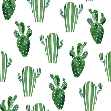Warecolor seamless pattern with cactus plants. Plants collection for wrapping paper, wallpaper decor, textile fabric and background.