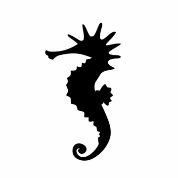 Seahorse black icon on white background. Beautiful silhouette for tattoo design, wedding festive card, fashion ornaments, logo, children, pattern. Vector illustration.