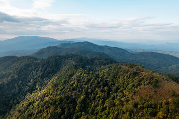 high angle view of forest and mountains in summer