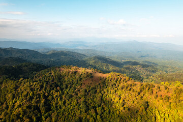 high angle view of forest and mountains in summer