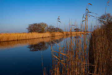 Norfolk Broads Somerton