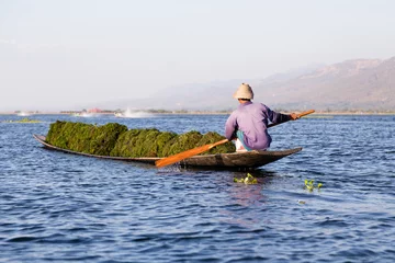 Foto op Canvas Back view of Burmese man crouching and paddling in boat full of water hyacinth harvested, Inle Lake, Myanmar © Anne Richard