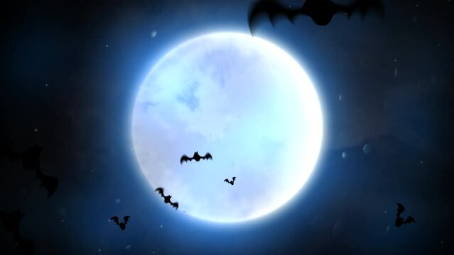 Fly night bats and big moon with stars in sky, motion horror, mystical and Halloween style background