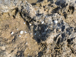 Coast of the Mediterranean Sea, long frozen lava. Background. It looks like an alien landscape.