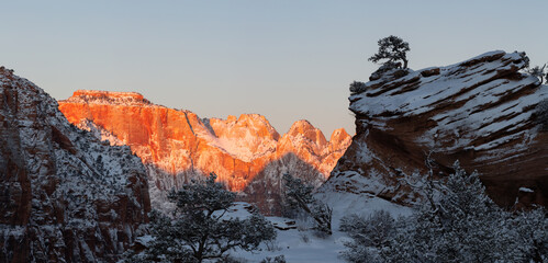 Panoramic view of West Temple mountain in Zion National park Utah with early morning light on it.  Fresh snow covers the red rock and the lone juniper tree on a cliff top in the foreground.  - Powered by Adobe