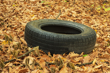 An old car tire lying among the yellow leaves in the forest. Pollution of the environment. Environmental problems. A car tire in the autumn leaves.