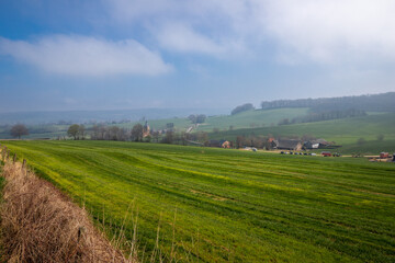 Fototapeta premium A foggy spring landscape with a view over the meadows and rollings hills on the border between the Netherlands and Belgium. 