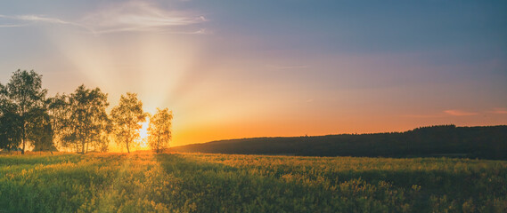 sunset over the field background with copy space