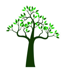 Obraz premium Vector Tree with green Leaves on white background.