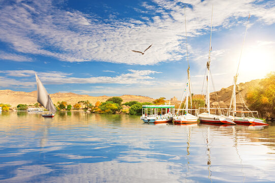 Sailboats in the Nile at sunny day, Asuan, Egypt