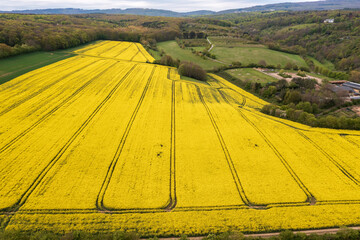 Naklejka premium Bird's-eye view of a spring landscape in the Taunus/Germany with blooming rapeseed