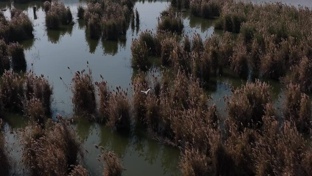 Kallar Kahar is a tourist hotspot, situated about 25 kilometers from the city of Chakwal, in province Punjab, Pakistan.