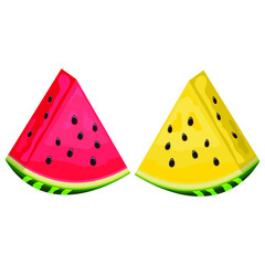 red watermelon and yellow watermelon fruit. Summer food concept illustration isolated on white background.