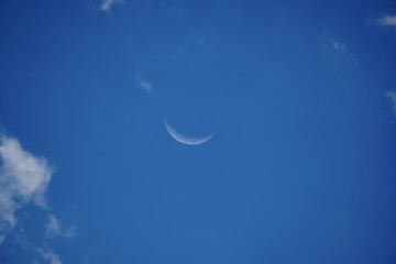 Obraz na płótnie Canvas the crescent moon with the blue sky on day