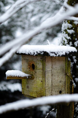 snowy birdhouse with blurred background
