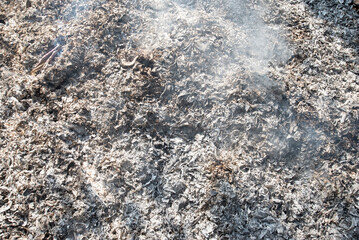 Ashes and smoke from burning plant residues