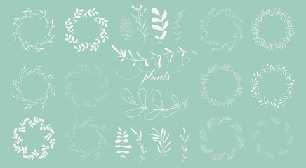Hand drawn white plant set on a mint background. Botanical, chic and trendy plants. Hand drawn lines, elegant leaves for your own design. Flower branch and minimalistic modern plants.