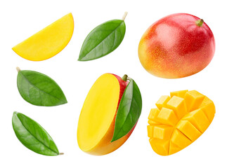 Mango set clipping path. Collection mango isolated on white. Full depth of field