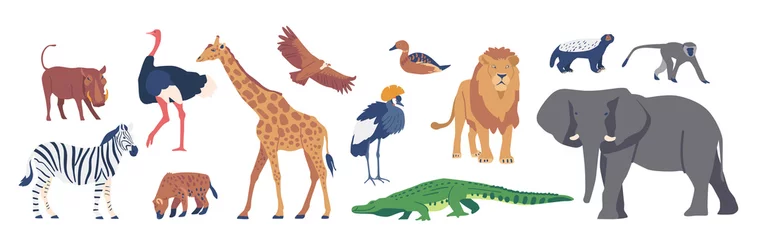 Foto op Plexiglas African Animals and Birds, Savannah Crowned Crane, Zebra, Lion and Boar, Giraffe, Duck, Honey Badger, Ostrich and Hyena © Pavlo Syvak