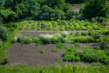 botanical garden bed with bushes and flowers for experimental cultivation and growth of new plants,...