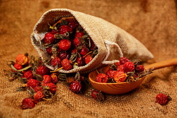 dried rosehip berries in burlap bag and in wooden spoon on burlap fabric close up