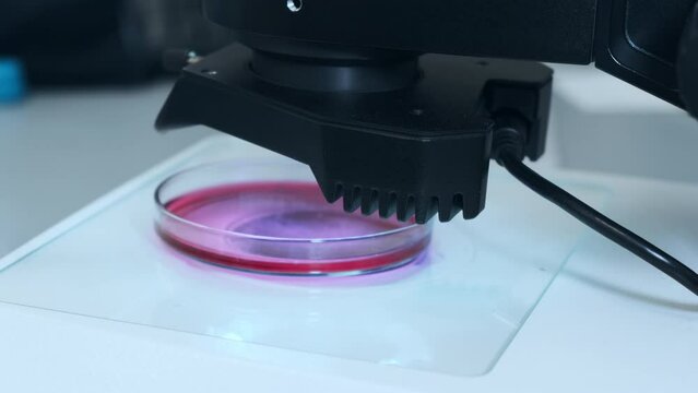Laboratory assistant puts Petri dish with samples under innovative electron microscope for analysis. Pharmaceutical bioscience research extreme closeup