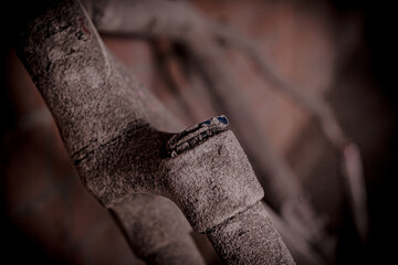 close up rusty bicycle