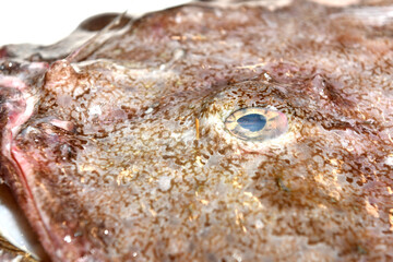 the eye of a Monkfish in a fishmongers - 497095195