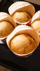 Homemade panettone cake with dried fruits 