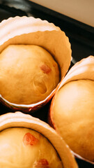 Homemade panettone cake with dried fruits 