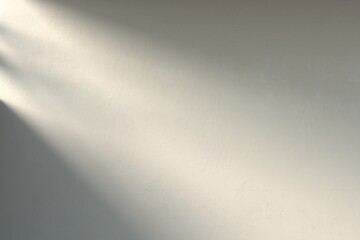 Abstract shadow background scene, design for cosmetic or product display podium 3d render.
