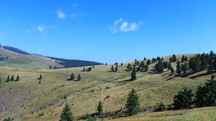 Obraz premium The Carphatians, a mountainous world where the forrests touch the sky