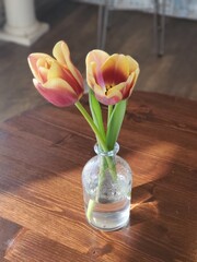 Coffee Shop Tulips