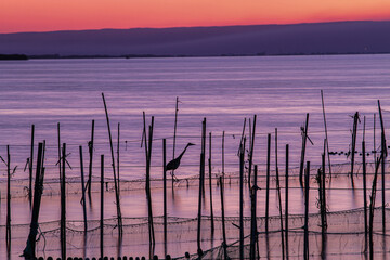 Albufera, atardecr
