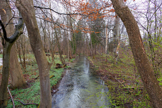 TreamBilder StockFotos & Videos. Adobe Stock